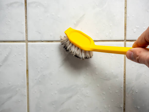 Best Mold Testing  in Lebanon, OR