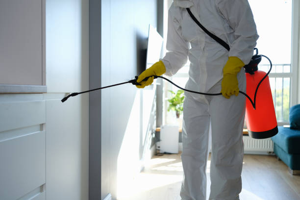 Best Mold Remediation Services  in Lebanon, OR