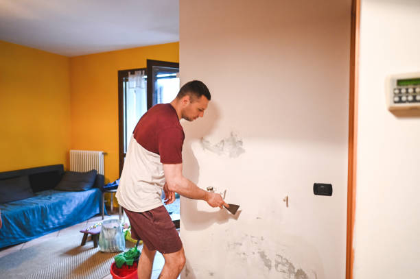 Best Mold Remediation  in Lebanon, OR