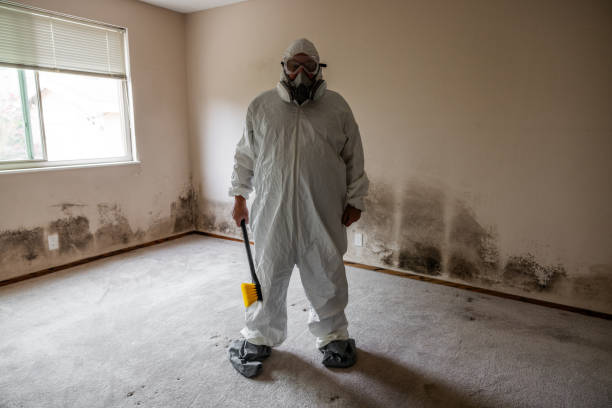 Best Emergency Mold Removal  in Lebanon, OR